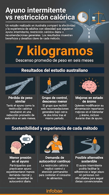 Infografía sobre el ayuno intermitente y la restricción calórica, con texto que detalla un estudio australiano, datos de peso, iconos de cerebro y personas.
