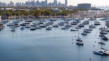 Este barrio de Miami atrae