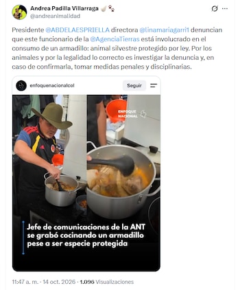 Los sectores críticos enfatizaron que el armadillo es una especie silvestre nativa en condición de amenaza - crédito @andreanimalidad/X