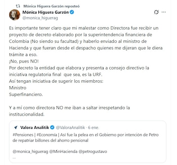 Mónica Higuera, exdirectora de la