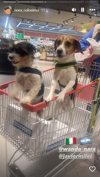 Nora Colosimo, desde Italia, mostró