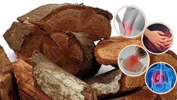 Con sus poderosos efectos afrodisíacos