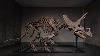 Tras permanecer tres décadas en