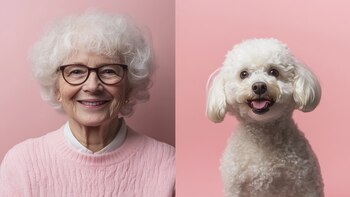 ¿Por qué los perros se