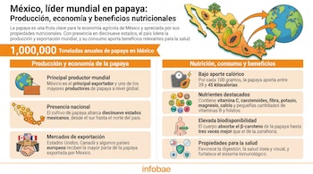 Infografía con mapa de México, árboles de papaya, frutos de papaya, un globo terráqueo y gráficos sobre la producción, economía y nutrición de la papaya.