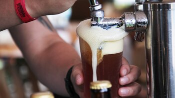 Cerveza podría presentar escasez y