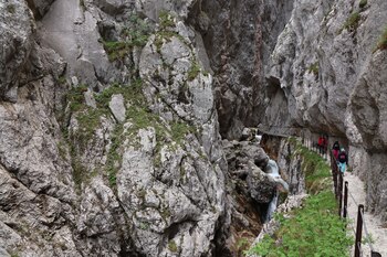 ARCHIVO - El sendero a