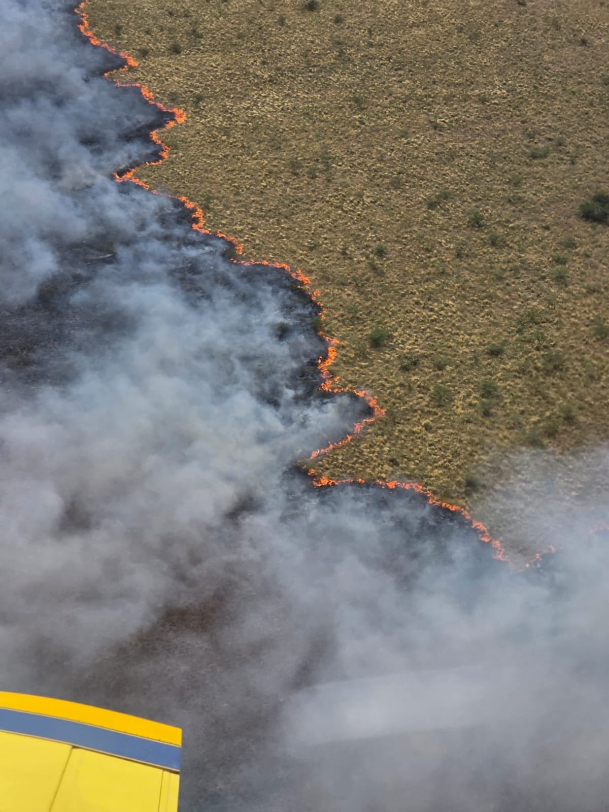 El fuego arrasó en diferentes puntos de la provincia (Foto: @bomberosRA)