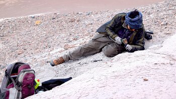 El rescate del fósil en