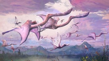 22-07-2021 Una bandada de pterosaurios