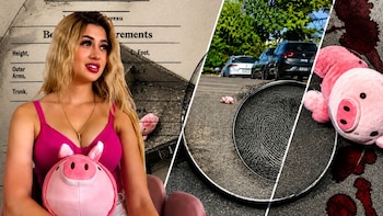 Cerditos rosas en crímenes de Sinaloa reviven incógnita ligada al caso de Valeria Márquez
