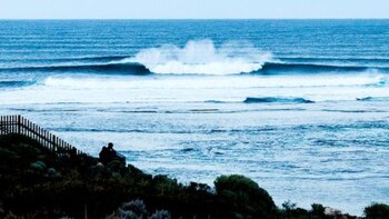 Shark Attacks Disrupt World Surf