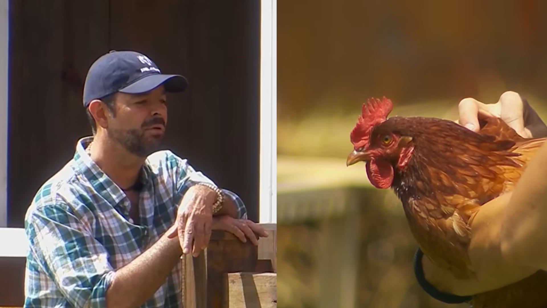 Pablo Montero generó la molestia de los participantes de La Granja VIP tras negarse a encargarse de la limpieza y cuidado de las gallinas. (Captura de pantalla )