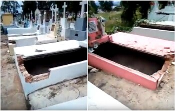 Varias tumbas fueron profanadas y