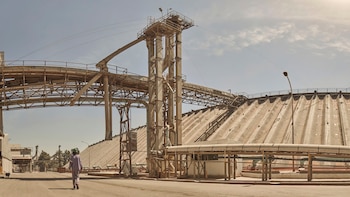 La planta de la empresa