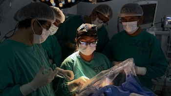 Cirugía de alta complejidad en