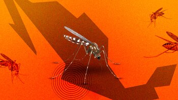 La participación de los alumnos