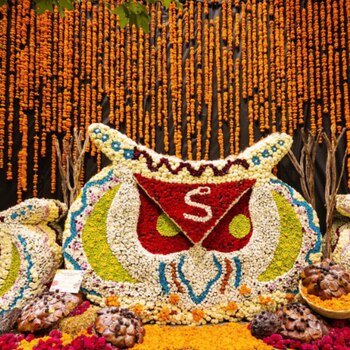 Habrá talleres y conferencias en