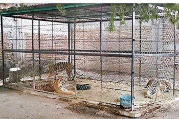 El lugar pertenecía al grupo