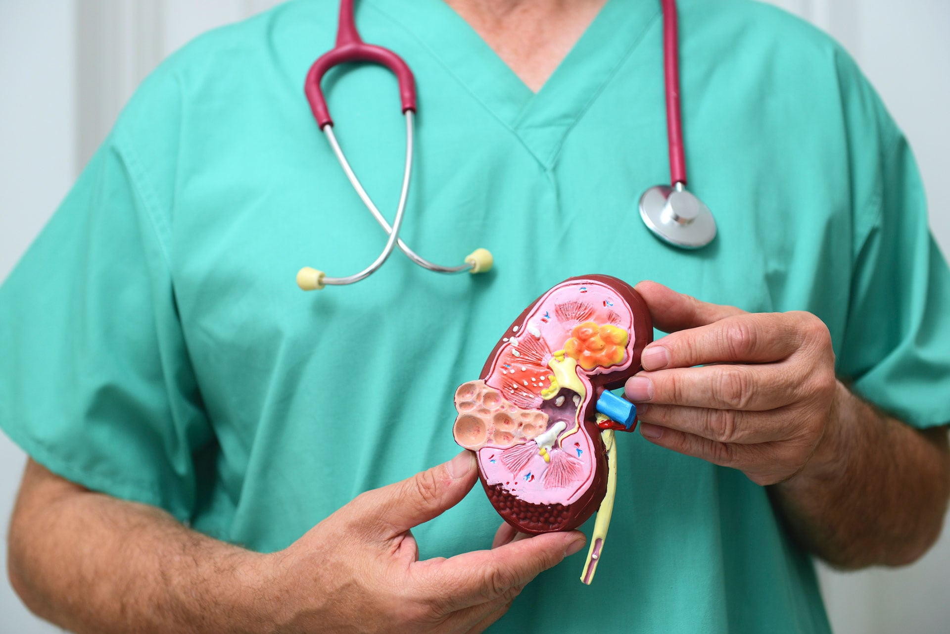 Los principales factores de riesgo incluyen tabaquismo obesidad presión arterial alta antecedentes familiares y exposición a agentes carcinógenos (Imagen Ilustrativa Infobae)