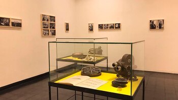 Las 35 fotos se exhiben