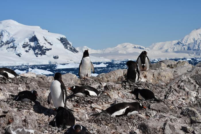 El viento catabático más veloz del mundo, con ráfagas sostenidas que superan los 270 km/h, dificulta la presencia humana y científica en este extremo polar Foto: Ignacio Juárez Martínez/Universidad de Oxford/Universidad Oxford Brookes.
