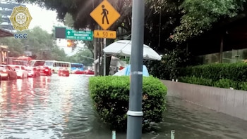 Avenida Insurgentes es una de