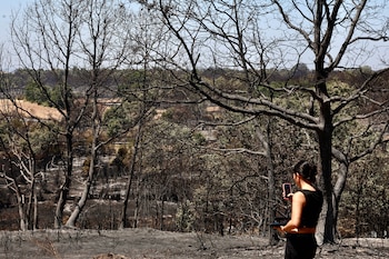 Vista del incendio forestal que se declaró el miércoles por la tarde en el municipio de Rábano de Aliste (Zamora). (EFE/Mariam A. Montesinos)