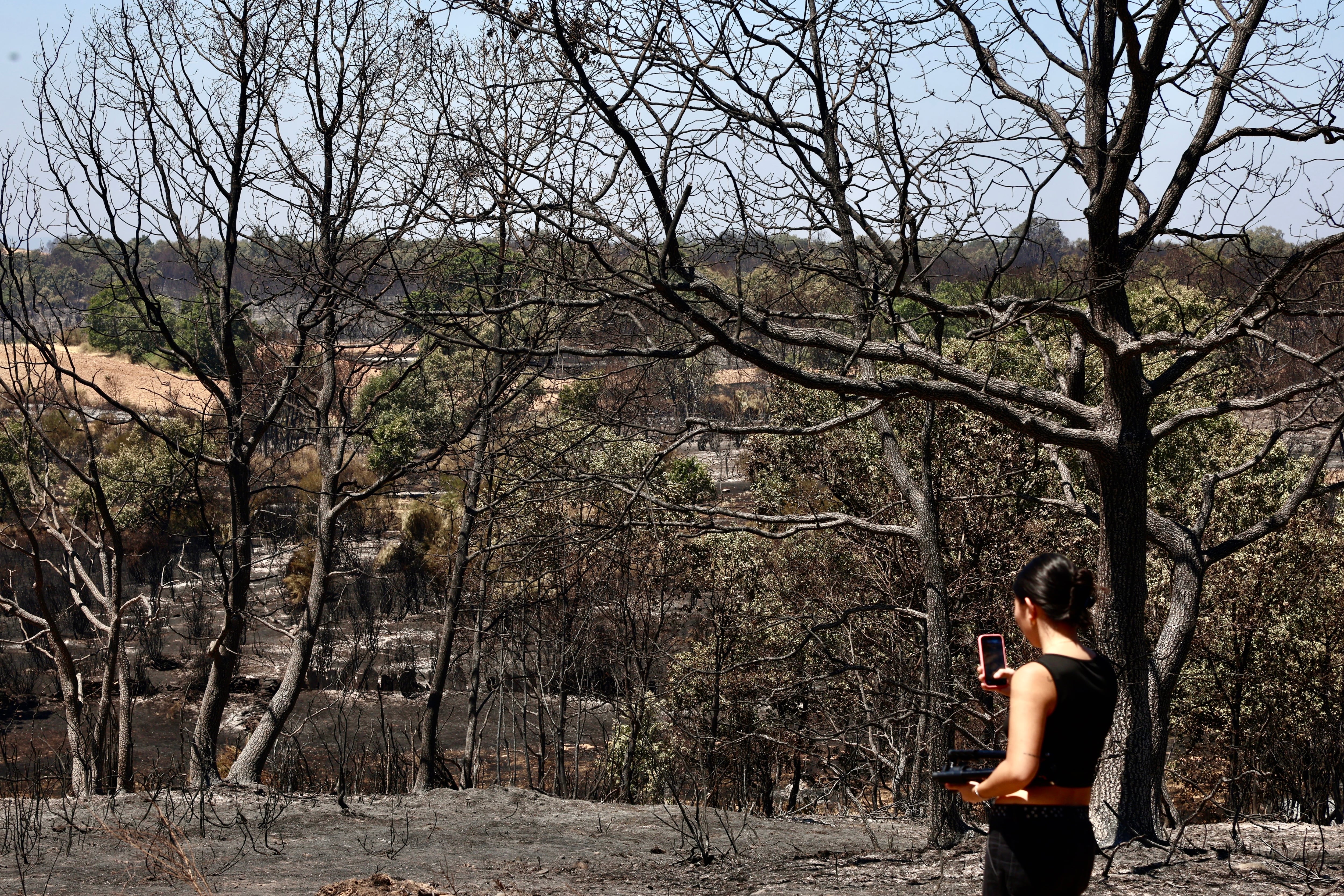 Vista del incendio forestal que se declaró el miércoles por la tarde en el municipio de Rábano de Aliste (Zamora). (EFE/Mariam A. Montesinos)