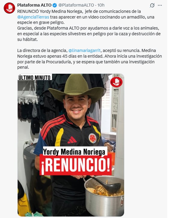 La Plataforma Alto, dedicada a la protección y defensa de los animales, había solicitado una investigación sobre lo ocurrido - crédito @PlataformaALTO/X