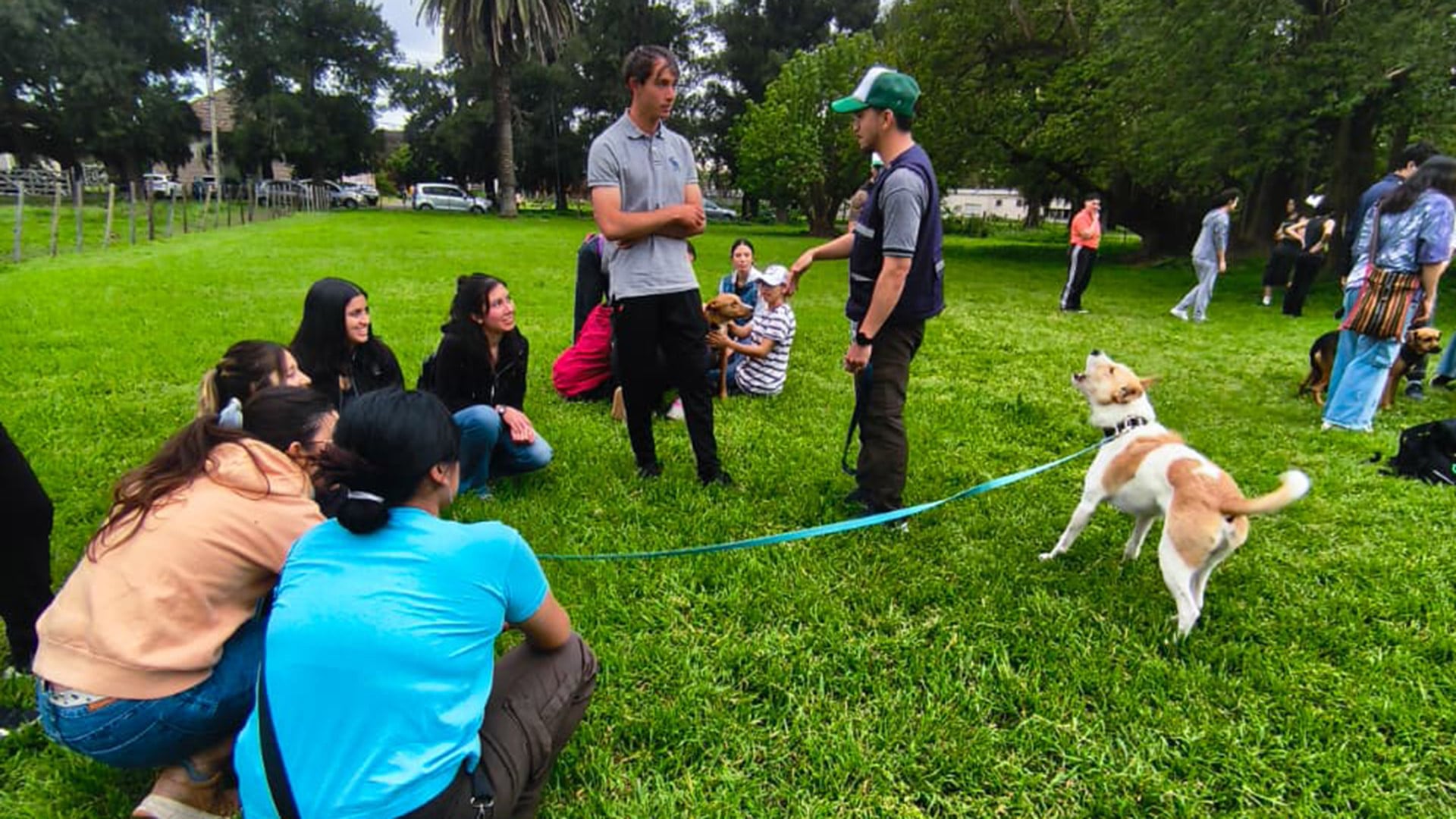 Casi el 80% de los hogares argentinos tienen mascotas y el 97% considera a los animales parte de la familia, impulsando la demanda de servicios especializados