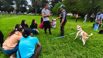 Liam Fundación Empujar