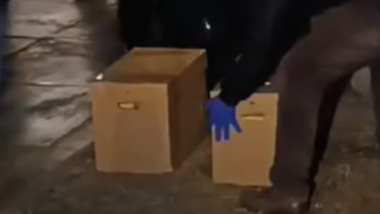 Detienen tres peruanos y dos