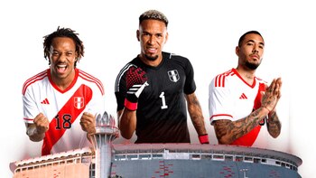 Conoce los precios del Abono