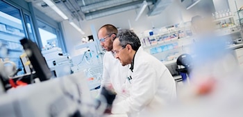 Las expectativas ante la llegada