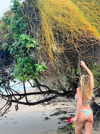 El elogio de Ortega no