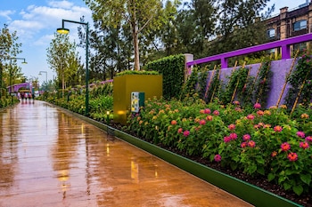 @SOBSECDMX