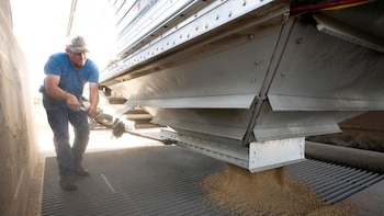 La cámara de agroexportadores llamó a los aceiteros a rebelarse contra sus gremios para evitar perder $160.000 por día de paro