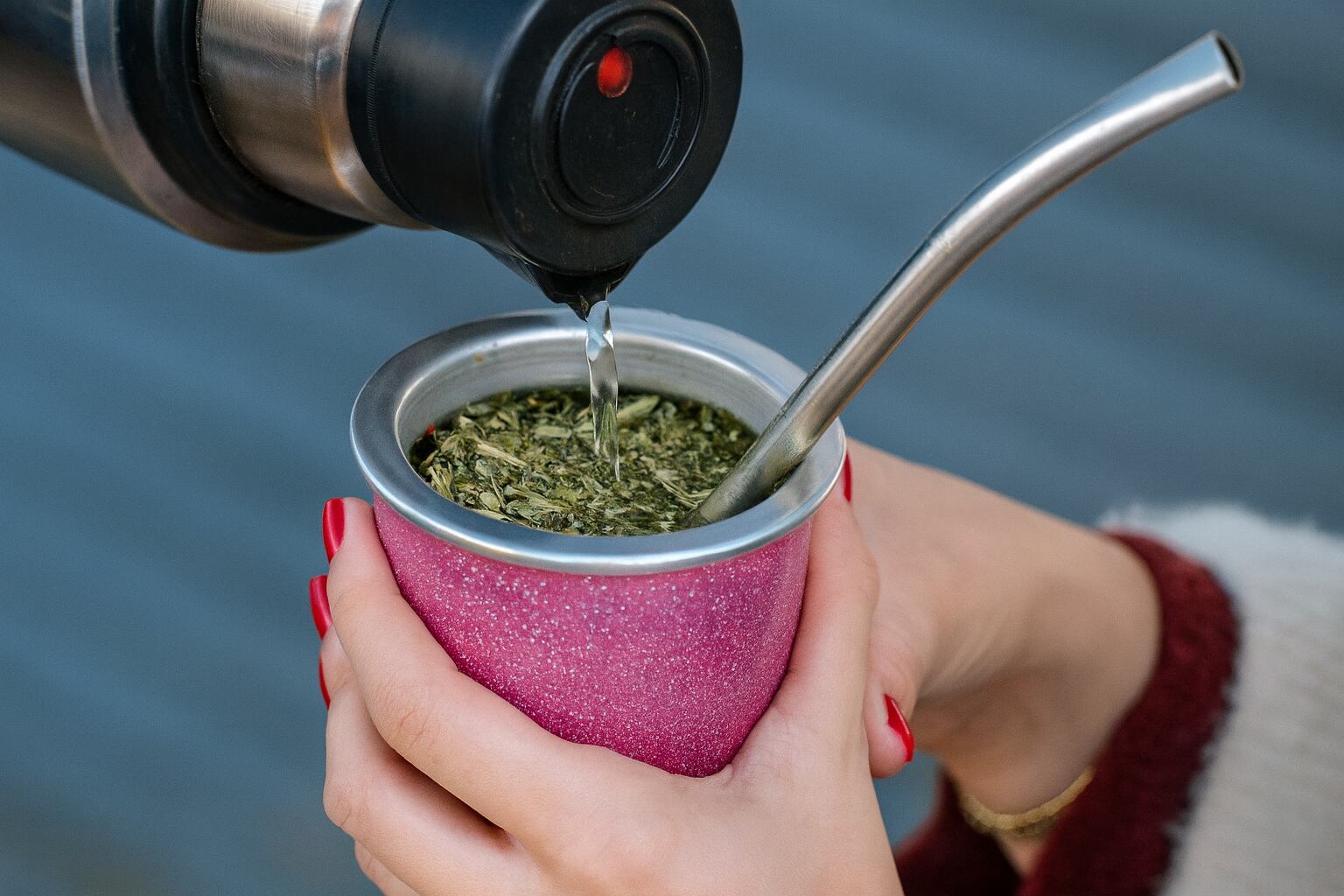 Los experimentos sugirieron el efecto antioxidante de la yerba mate en las encías y el hueso dental (Imagen Ilustrativa Infobae)