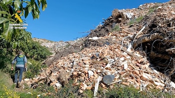 Imagen RFPRB2TU3NGKTIWLEXU6ZUVIUI