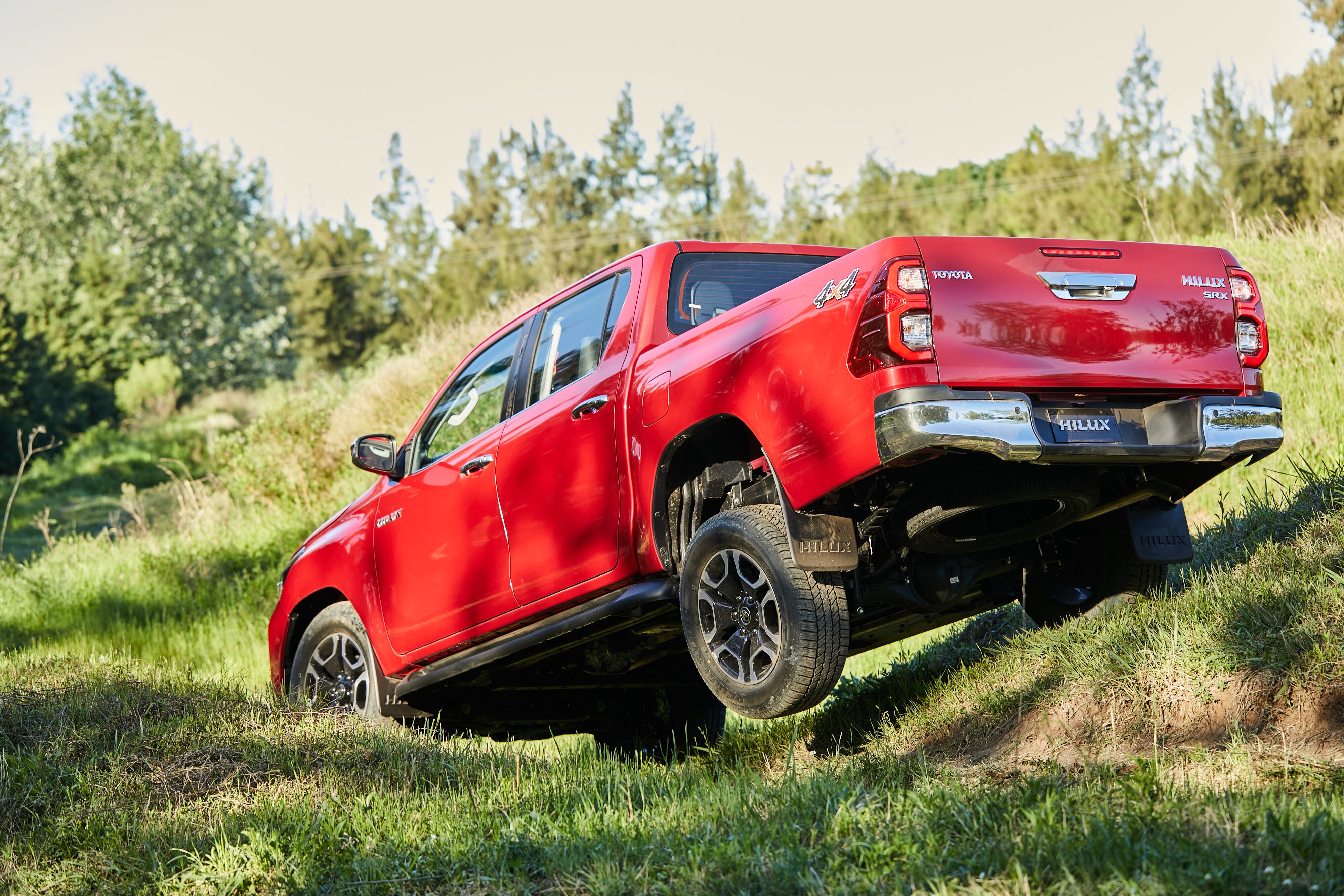 Las camionetas con chasis ahora representan el 16% del total de vehículos nuevos que se venden en Argentina