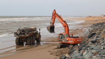 Almonte defiende su actuación en