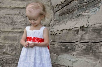 Los investigadores consiguieron subsidio para