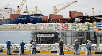 Dos buques de carga en un puerto venezolano descargan arroz apilado en sacos. Productores observan junto a silos metálicos con cartel "sin capacidad".