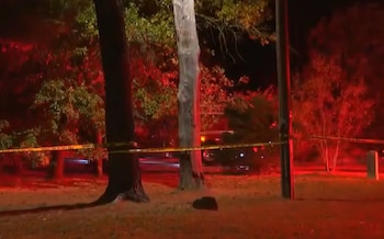 Una escena nocturna con árboles e iluminación roja de emergencia, donde una cinta amarilla de precinto se extiende entre los troncos