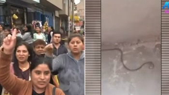 Una imagen dividida verticalmente muestra un grupo de personas protestando a la izquierda y una culebra sobre una superficie clara a la derecha, con el logo de ATV