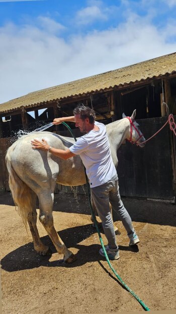 La reacción de Benjamín Vicuña