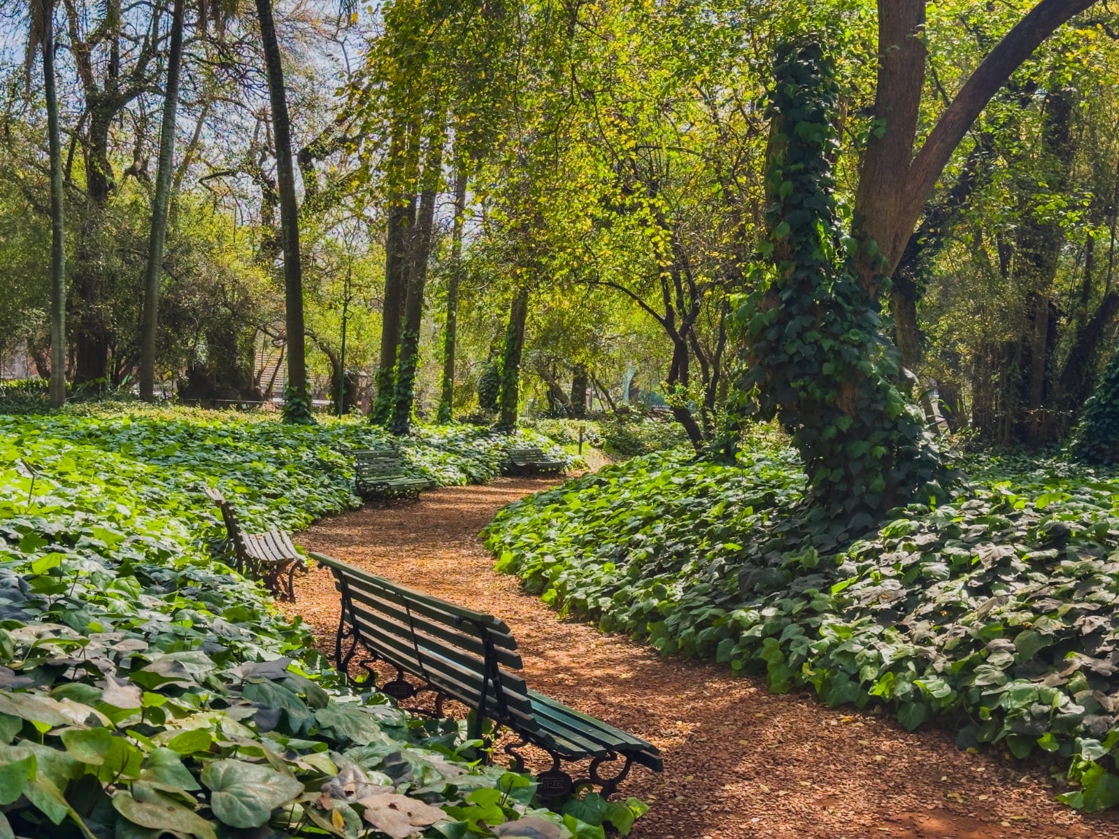 Los espacios al aire libre con sombra y vegetación forman parte de las alternativas para enfrentar las altas temperaturas