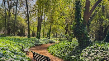 El Gobierno porteño informó que