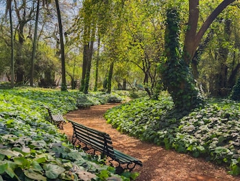 Los espacios al aire libre